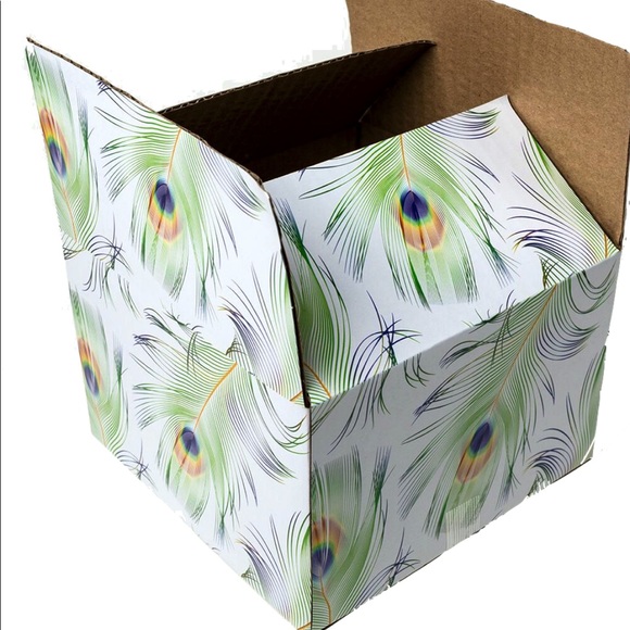 CLEARANCE 10 (6X6X4) Peacock Boxes PRICE IS FIRM - Picture 5 of 6